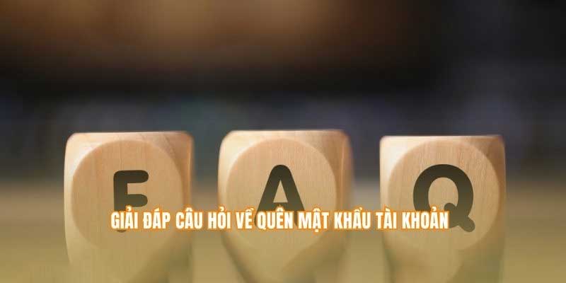 Thông tin hỏi đáp chi tiết